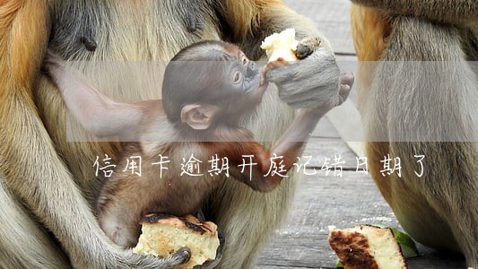信用卡逾期开庭记错日期了