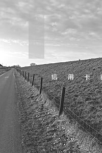 信用卡逾期开庭诉败了会怎样