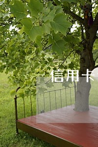 信用卡逾期开庭调解协议