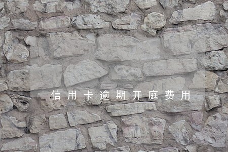 信用卡逾期开庭费用 信用卡逾期开庭费用