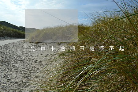 信用卡逾期开庭还不起 信用卡逾期开庭还不起