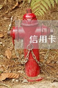 信用卡逾期开庭还能协商吗 信用卡逾期开庭还能协商吗