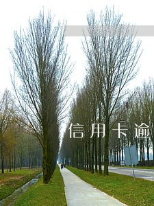 信用卡逾期开庭需要承担什么费用 信用卡逾期开庭需要承担什么费用