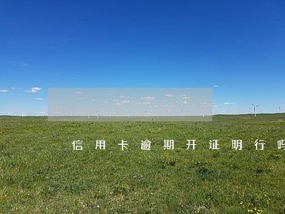信用卡逾期开证明行吗 信用卡逾期开证明行吗