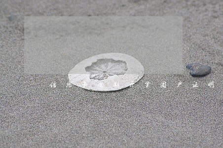 信用卡逾期开贫困户证明怎么写 信用卡逾期开贫困户证明怎么写