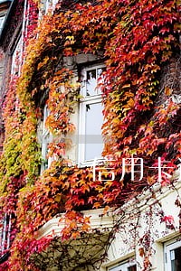 信用卡逾期开贫困证明查消费 信用卡逾期开贫困证明查消费
