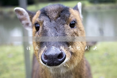 信用卡逾期异地判决 信用卡逾期异地判决