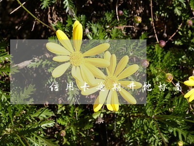 信用卡逾期异地协商 信用卡逾期异地协商