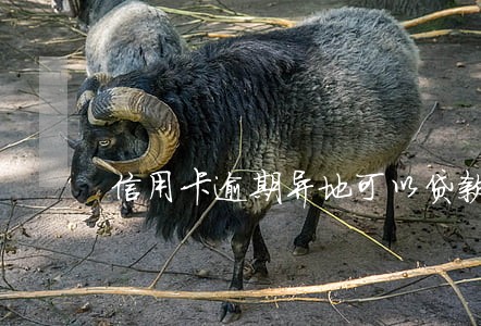 信用卡逾期异地可以贷款吗 信用卡逾期异地可以贷款吗