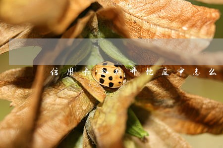 信用卡逾期异地庭审怎么处理