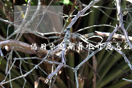 信用卡逾期异地开庭怎么办 信用卡逾期异地开庭怎么办