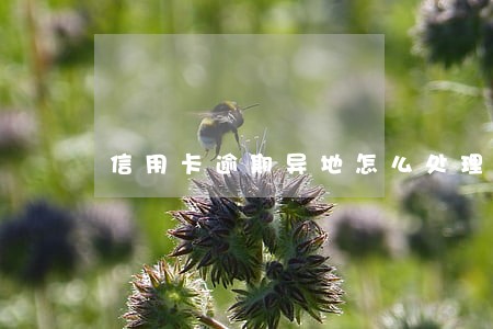 信用卡逾期异地怎么处理