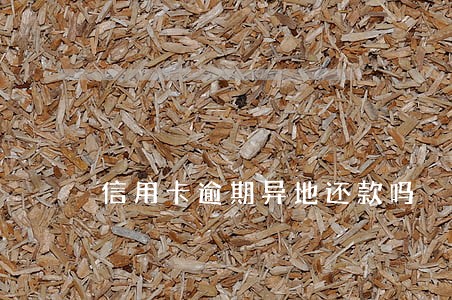 信用卡逾期异地还款吗