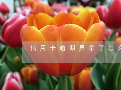 信用卡逾期异常了怎么办 信用卡逾期异常了怎么办