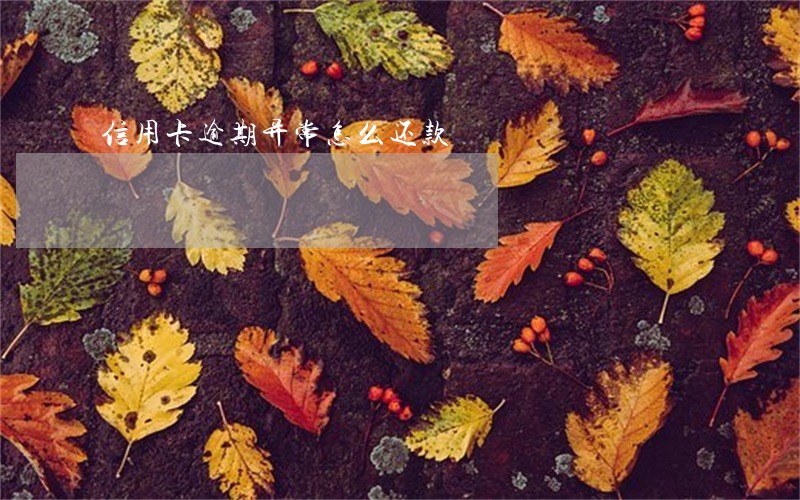 信用卡逾期异常怎么还款 信用卡逾期异常怎么还款