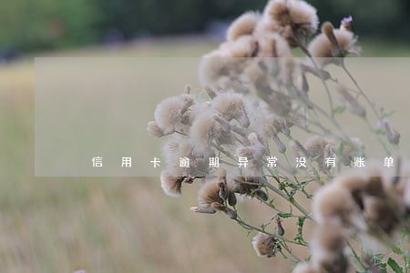 信用卡逾期异常没有账单