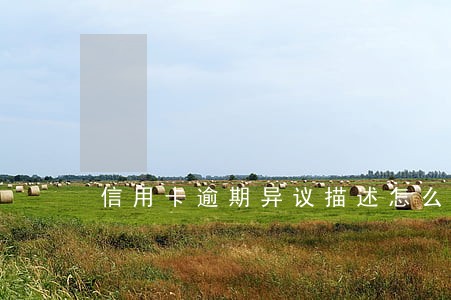 信用卡逾期异议描述怎么写 信用卡逾期异议描述怎么写