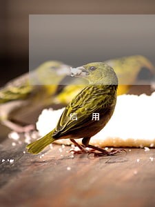 信用卡逾期引发的争议 信用卡逾期引发的争议