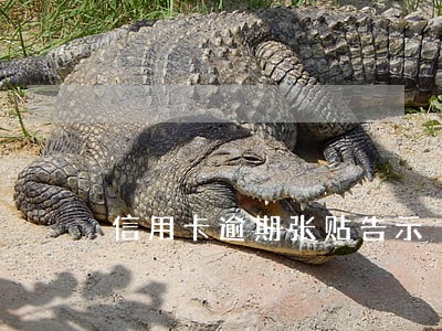 信用卡逾期张贴告示 信用卡逾期张贴告示