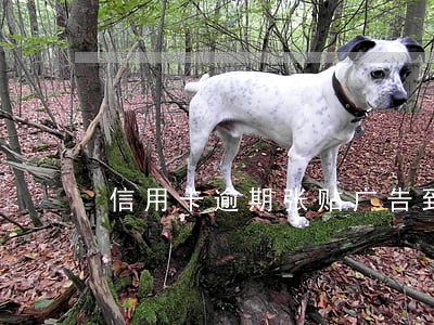 信用卡逾期张贴广告到村委会 信用卡逾期张贴广告到村委会