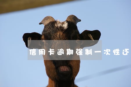 信用卡逾期强制一次性还款