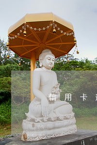 信用卡逾期强制上岸的正确方法 信用卡逾期强制上岸的正确方法