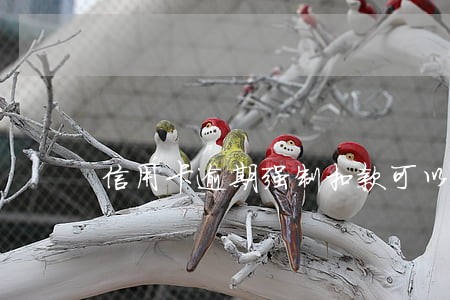 信用卡逾期强制扣款可以告吗 信用卡逾期强制扣款可以告吗