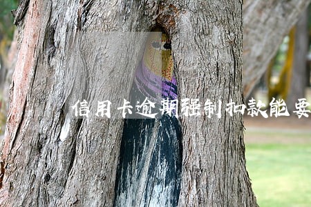 信用卡逾期强制扣款能要回来吗 信用卡逾期强制扣款能要回来吗