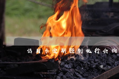 信用卡逾期强制执行会拘留 信用卡逾期强制执行会拘留