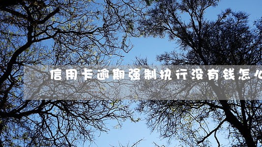 信用卡逾期强制执行没有钱怎么办 信用卡逾期强制执行没有钱怎么办
