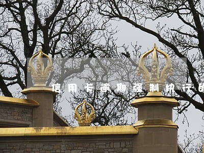 信用卡逾期强制执行的困难和成因 信用卡逾期强制执行的困难和成因