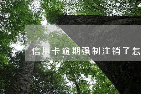 信用卡逾期强制注销了怎么还款 信用卡逾期强制注销了怎么还款