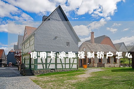 信用卡逾期强制销户怎么还款 信用卡逾期强制销户怎么还款