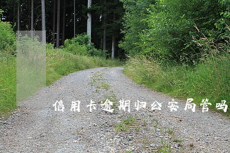 信用卡逾期归公安局管吗 信用卡逾期归公安局管吗