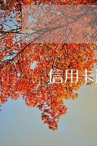 信用卡逾期归属哪个部门管