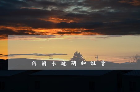 信用卡逾期归谁管 信用卡逾期归谁管
