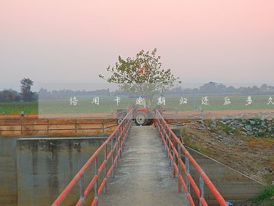 信用卡逾期归还后多久可以用 信用卡逾期归还后多久可以用