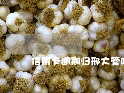 信用卡逾期归邢大管吗