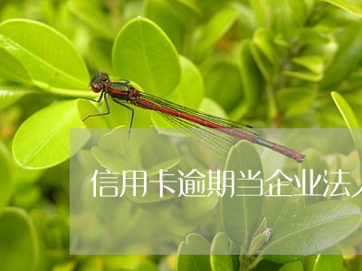 信用卡逾期当企业法人 信用卡逾期当企业法人