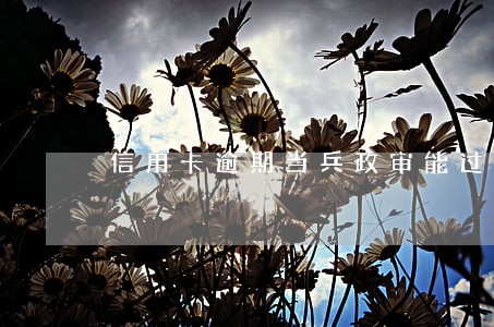 信用卡逾期当兵政审能过么 信用卡逾期当兵政审能过么