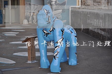 信用卡逾期当地上门处理