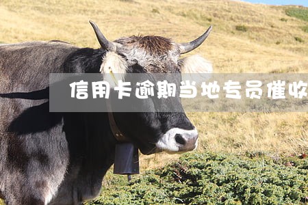 信用卡逾期当地专员催收