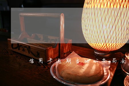 信用卡逾期当地公安局会抓人吗 信用卡逾期当地公安局会抓人吗