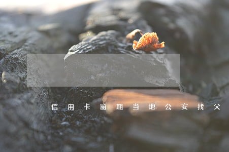 信用卡逾期当地公安找父母签字