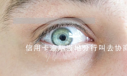 信用卡逾期当地分行叫去协商 信用卡逾期当地分行叫去协商