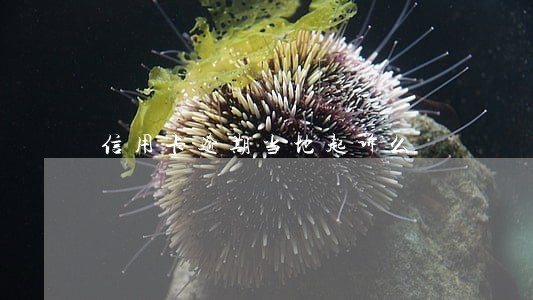 信用卡逾期当地起诉么 信用卡逾期当地起诉么
