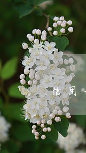 信用卡逾期当地银行会找你吗 信用卡逾期当地银行会找你吗