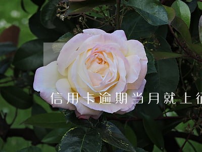 信用卡逾期当月就上征信报告吗 信用卡逾期当月就上征信报告吗
