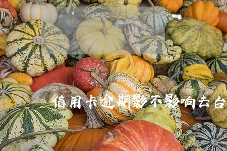 信用卡逾期影不影响去台湾 信用卡逾期影不影响去台湾