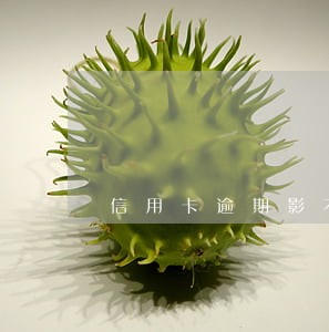 信用卡逾期影不影响孩子上学 信用卡逾期影不影响孩子上学